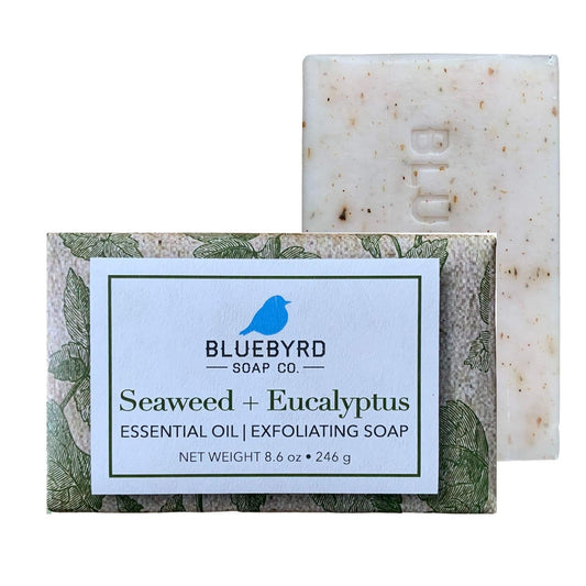 BLUEBYRD Soap Eucalyptus & Seaweed Exfoliating Large Soap Bar, 100% Vegan Cold Press Scented w/Essential Oils, Body Soap Scrub for Men & Women, Natural Oatmeal, Shea Butter, Olive Oil, 8.6oz