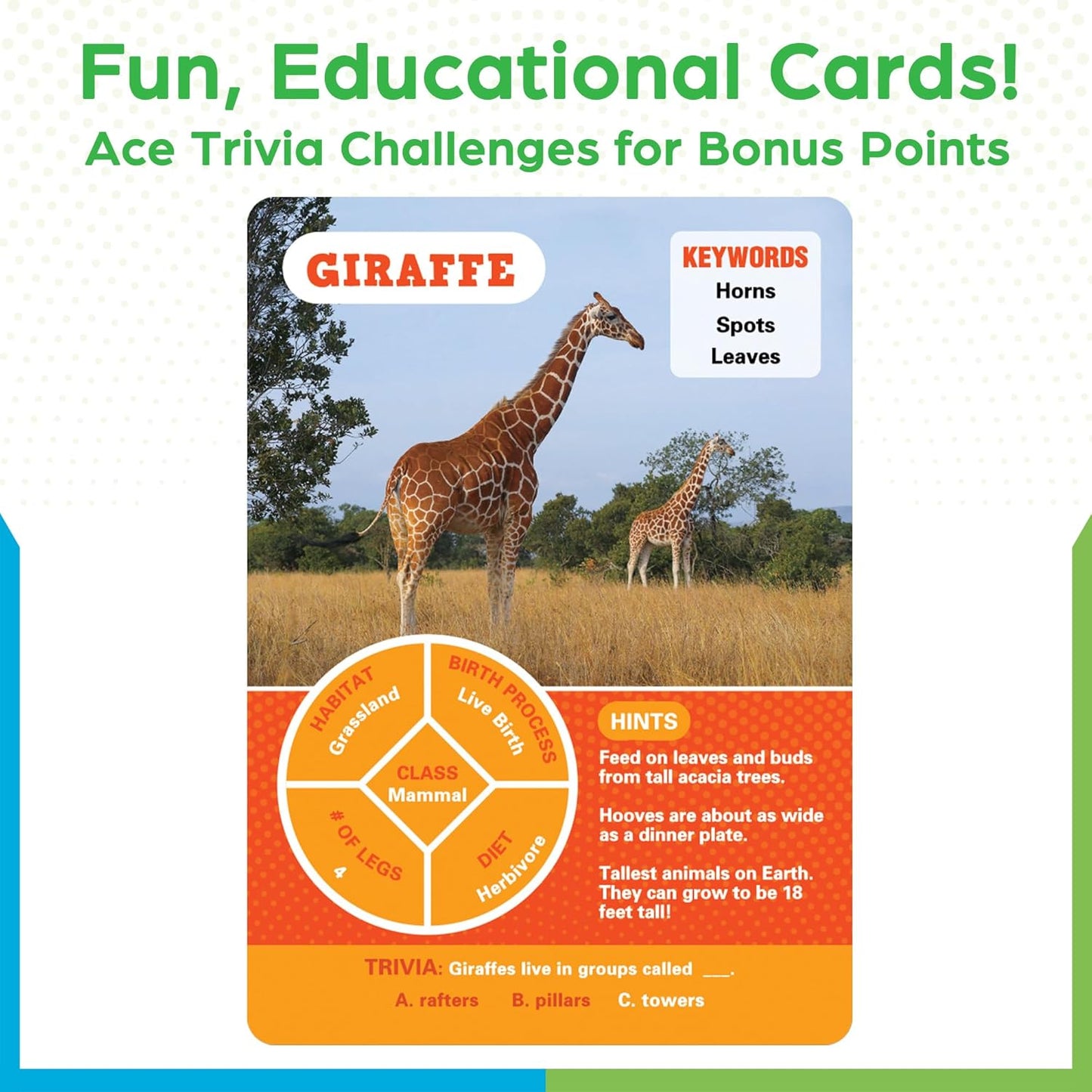 BenBen Guess Animal Card Games for Kids Family, 100 Cards, Educational Board Games for Travel, Classroom, Camping, Party, Car, Airplane, Road Trip Activities for Boys, Girls Ages 5+