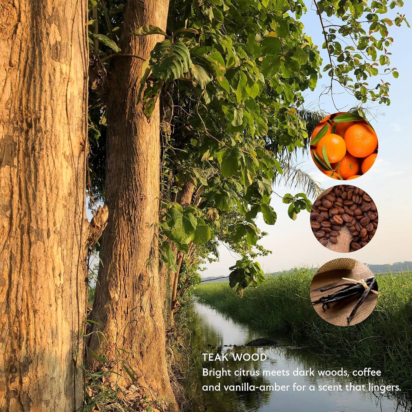 Mistral Teak Wood Luxury Bar Soap for Men | Men’s Natural Soap Bar | Paraben, Phthalates Free | Moisturizing & Triple-Milled Natural Soap for Men - Made in France | Large, 8.8 oz