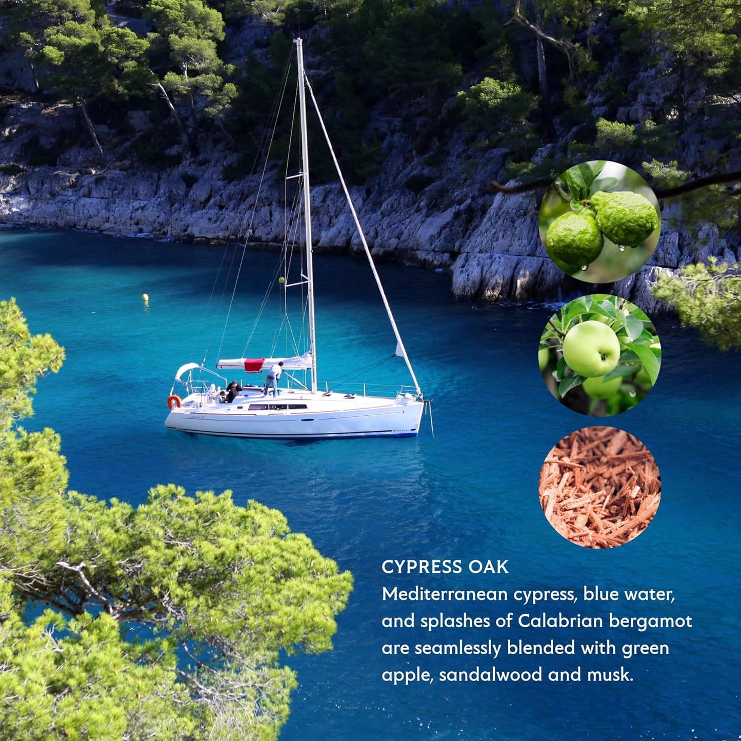 Mistral Cypress Oak Luxury Bar Soap for Men | Men’s Natural Soap Bar | Paraben, Phthalates Free | Moisturizing & Triple-Milled Natural Soap for Men - Made in France | Large, 8.8 oz